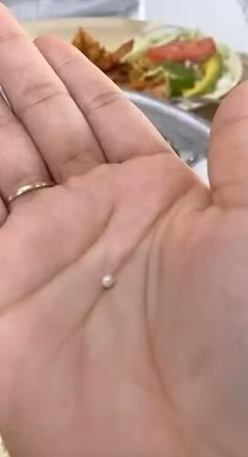 Được biết, tỷ lệ tìm thấy ngọc trai tự nhiên là cực kỳ hiếm, chỉ 1/10.000 con trai/hàu chứa kho báu đại dương này.