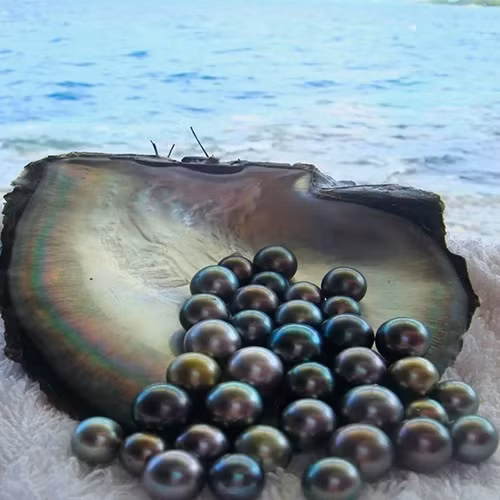 Quả đúng như anh mong đợi, đó là viên ngọc trai đen tự nhiên, giá trị ước tính có thể lên tới 50 triệu Won (khoảng 898 triệu đồng).