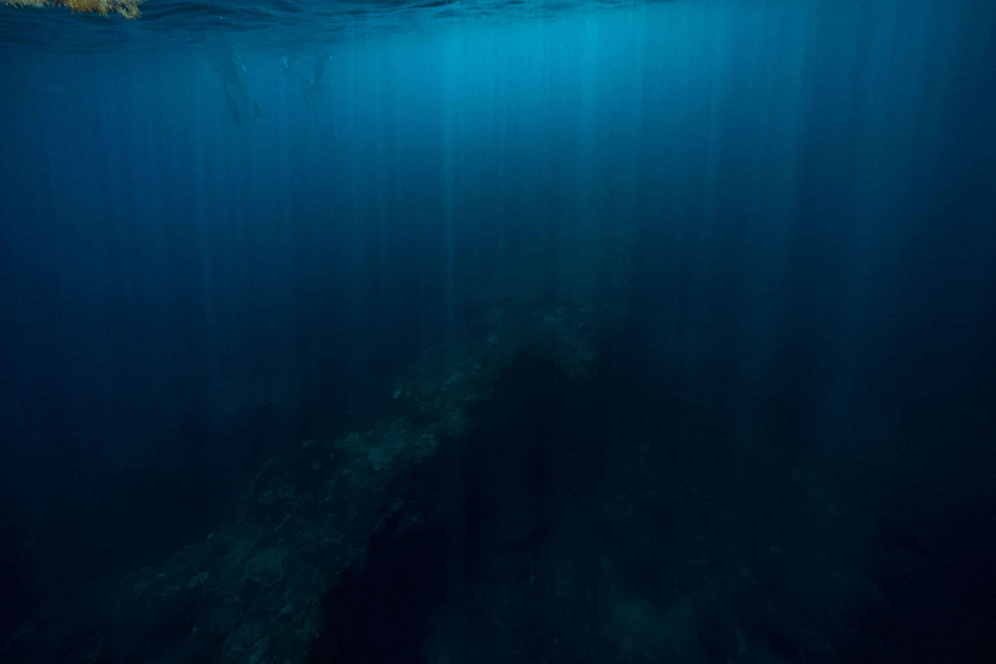 Do vậy, quá trình này gọi là hỗn hợp hoá học, nó hoàn toàn không giống với tính chất của tác dụng quang hợp.