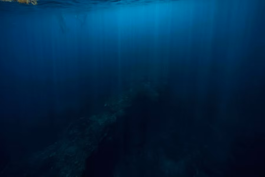 Do vậy, quá trình này gọi là hỗn hợp hoá học, nó hoàn toàn không giống với tính chất của tác dụng quang hợp.