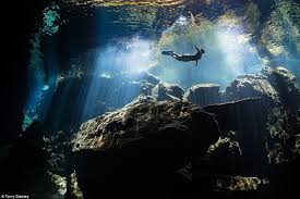 Trong thời gian kì diệu dưới đáy biển, bốn bề đều tối đen, ánh sáng Mặt Trời không thể chiếu rọi được xuống, những phế thải của sinh vật trên mặt biển cũng không thể chìm sâu xuống đáy để cung cấp "thức ăn" cho loại động vật "thần bí" duy trì cuộc sống.