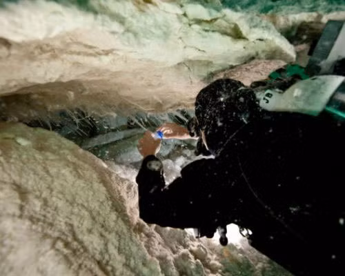 " Hang động cười" nằm sâu dưới đáy biển vùng đồng bằng Nullarbor, Tây Úc. Sỡ dĩ có tên gọi như vậy là bởi vì hang động này có hình miệng cười.