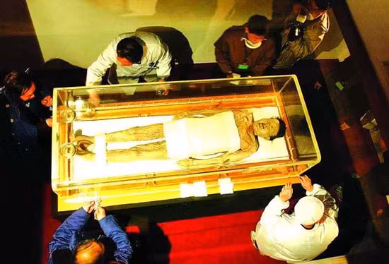 Các cơ quan nội tạng của bà cũng còn nguyên. Nhờ vậy, các chuyên gia thuận lợi giải mã được chế độ ăn uống của Tân Truy phu nhân. Khi còn sống, bà thường thưởng thức những món ăn ngon dành cho giới quý tộc như thịt nai, cừu và trái cây. Trong dạ dày của bà còn sót lại hạt dưa. Điều này hé lộ Tân Truy phu nhân ăn loại quả này vào thời điểm 2 tiếng trước khi tử vong.