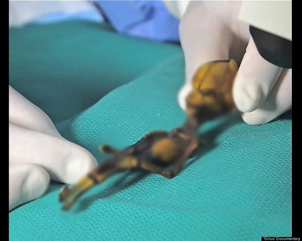 Bộ xương người ngoài hành tinh này có tới 9% mã ADN không giống với con người. 9% thực sự là một sự khác biệt khổng lồ trong ngành di truyền học. Điều này có nghĩa đây là một sinh vật khác hoàn toàn so với con người.