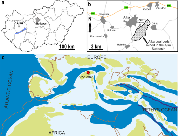 Các chuyên gia đã xác định được niên đại của xác loài gián "quái vật" này, là khoảng 83-86 triệu năm, tức giai đoạn muộn của kỷ Phấn Trắng.
