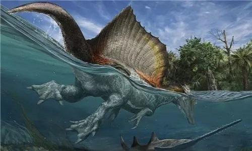 Là kỷ địa chất dài nhất trong Đại Trung sinh, kỷ Phấn Trắng chiếm khoảng gần một nửa thời gian của đại địa chất này.