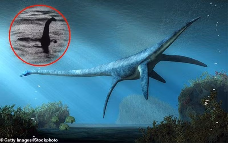 Cảnh tượng gây sốc này được ghi lại tại Shoreland Lodges, gần Pháo đài Augustus trên bờ phía nam của hồ.