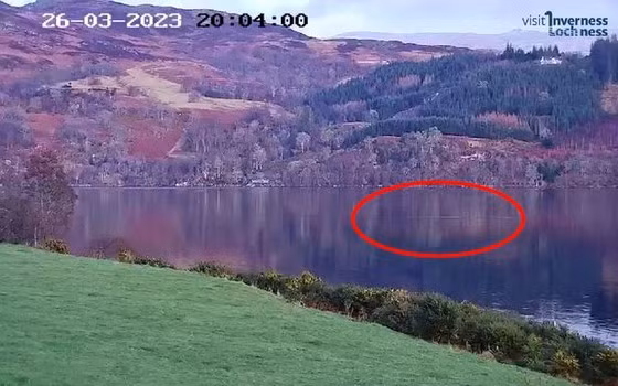 Mới đây, Nessie cho biết ông đã rất sốc khi phát hiện có một thứ gì đó dài hơn 6m đang lướt trên mặt hồ.
