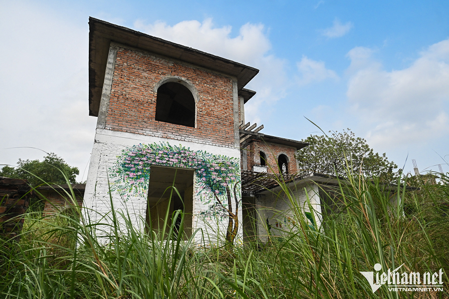 Cạnh những ngôi nhà triệu đô đắt đỏ là cỏ dại mọc cao quá đầu người.