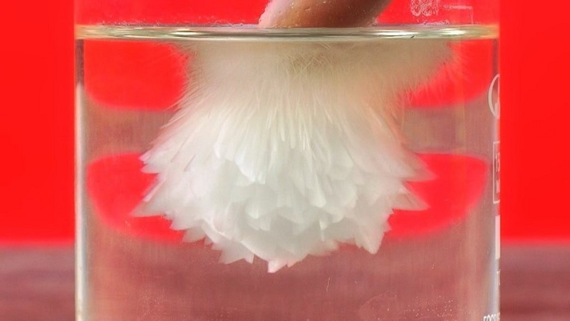 So về hình dáng bên ngoài, chúng không có gì khác biệt so với nước thường khiến ta không thể phân biệt được. Nhưng bên trong chất lỏng đó lại rất ấm.