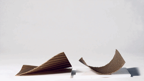 Các chuyên gia đến từ Viện nghiên cứu khoa học Massachusetts đã sáng chế một "siêu vật liệu" thách thức mọi quy luật vật lý. Đó chính là những tấm phẳng chứa hạt gỗ có thể uốn cong theo hình dáng nhất định khi được thấm đẫm trong nước từ công nghệ in ấn 4D.