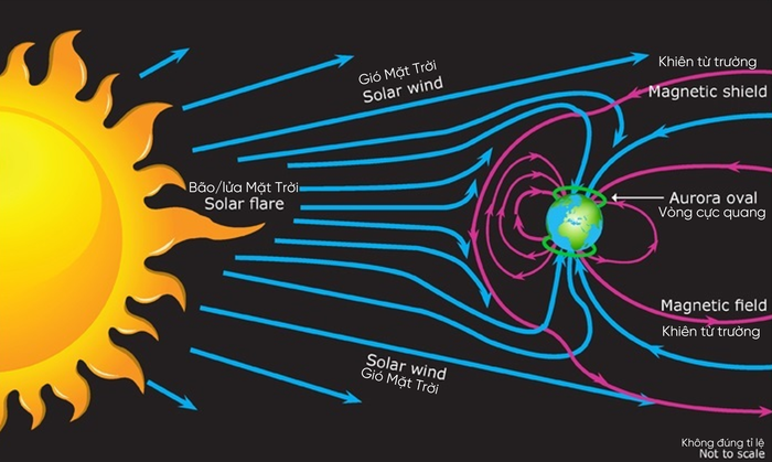 Các vết đen Mặt Trời mở rộng và co lại khi chúng di chuyển trên bề mặt Mặt Trời, với đường kính từ 16 km tới 160.000 km. Khi vết đen có đường kính đủ lớn thì có thể quan sát từ trái đất bằng mắt thường.