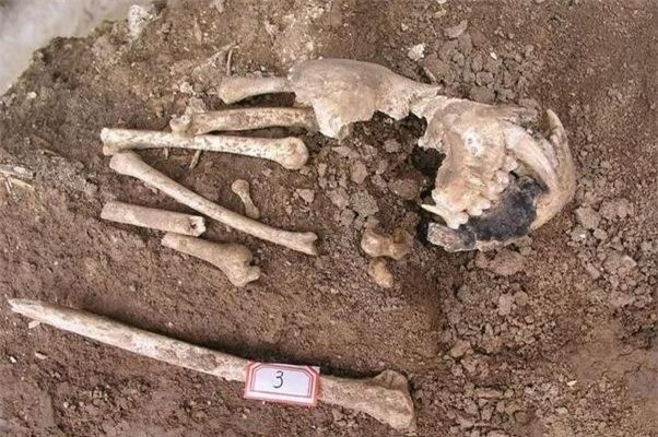 Điều khiến các chuyên gia bất ngờ nhất là tìm thấy hài cốt của một sinh vật lạ không giống bất cứ động vật nào tồn tại đến ngày nay.