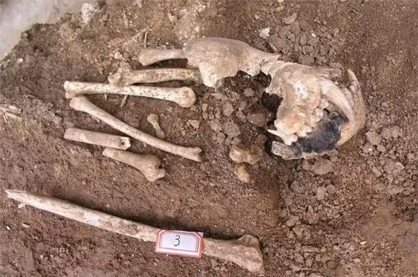 Điều khiến các chuyên gia bất ngờ nhất là tìm thấy hài cốt của một sinh vật lạ không giống bất cứ động vật nào tồn tại đến ngày nay.