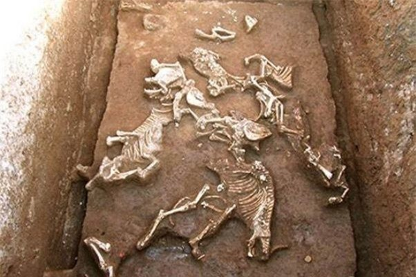 Tại nơi chôn cất của bà nội Tần Thủy Hoàng, các chuyên gia có nhiều phát hiện quan trọng. Trong số này, họ đặc biệt chú ý đến 12 hố chôn cất chứa nhiều xương động vật.