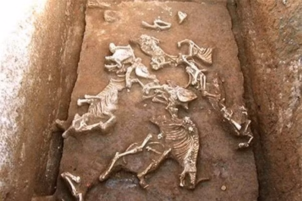 Tại nơi chôn cất của bà nội Tần Thủy Hoàng, các chuyên gia có nhiều phát hiện quan trọng. Trong số này, họ đặc biệt chú ý đến 12 hố chôn cất chứa nhiều xương động vật.