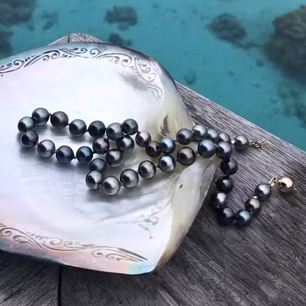 Căn cứ vào những tiêu chí này, viên ngọc trai của anh Kim tìm được có màu sắc sáng bóng, độ nhẵn bề mặt, kích thước đều đạt tiêu chuẩn khá tốt.