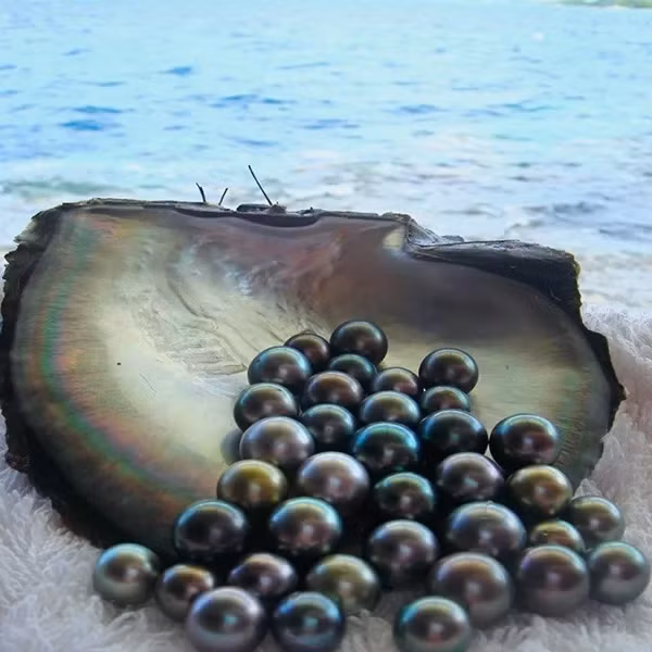 Theo những thông anh Kim tìm kiếm được, ngọc trai đen nuôi cấy nhân tạo sẽ có màu đen và sáng, trong khi ngọc trai đen tự nhiên thường có kết cấu màu xám.