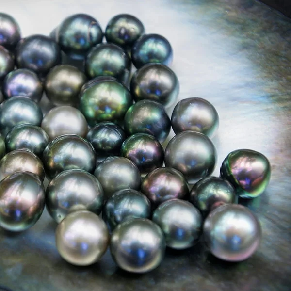 Tuy nhiên trong tổng số 1000 viên thu hoạch cùng thời điểm chỉ có khoảng 8 viên có độ tròn đều, tương đồng với nhau về màu sắc và kích thước có thể đính trên một cặp hoa tai. Bên cạnh đó, tỷ lệ có được viên ngọc trai sắc đen huyền này là cực kỳ hiếm.