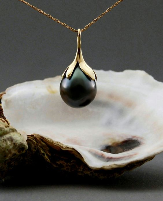 Anh Kim tiếp tục tìm kiếm và phát hiện trong một báo cáo vào năm 1987, có người đã tìm thấy ngọc trai đen trong vẹm đỏ, giá trị ước tính vào thời điểm đó lên tới 50 triệu Won (khoảng 898 triệu đồng).