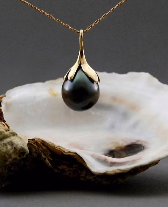 Anh Kim tiếp tục tìm kiếm và phát hiện trong một báo cáo vào năm 1987, có người đã tìm thấy ngọc trai đen trong vẹm đỏ, giá trị ước tính vào thời điểm đó lên tới 50 triệu Won (khoảng 898 triệu đồng).