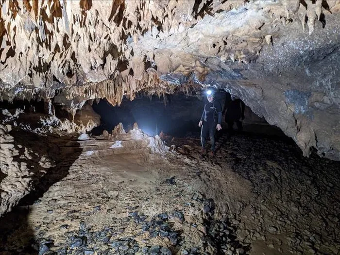 Trong đó, hang Hung Trù 1 dài hơn 1,9km, sâu 11m; hang Hung Trù 2 dài hơn 0,5km, sâu 25,8m; hang Hung Trù 3 dài hơn 0,15km, sâu 11,4m; hang Hung Kà Vờng 1 dài gần 0,24km, sâu 2,8m; hang Hung Kà Vờng 2 dài hơn 0,5km, sâu 5m. (Ảnh: TTXVN)