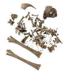 Người thực hiện lời nguyền cũng đóng một chiếc đinh sắt lớn xuyên qua hũ. Đinh sắt và xương gà nhiều khả năng là để thực hiện một lời nguyền độc địa. Đinh sắt thường xuất hiện kèm theo những lời nguyền cổ đại, nhằm ngăn chặn và khiến người bị nguyền rủa không thể nhúc nhích.