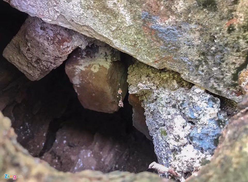 Dan lap chot canh giu 3 cay sua tram tuoi o dinh lang-Hinh-7