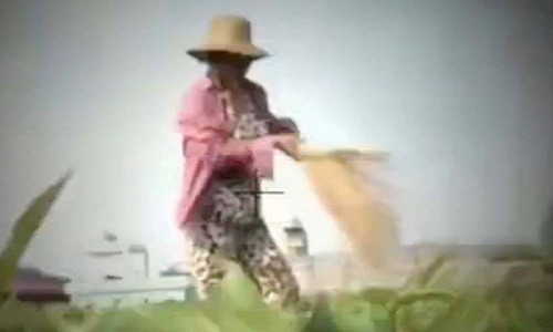 Hình ảnh trong clip phóng sự "Cây chổi quét rau".