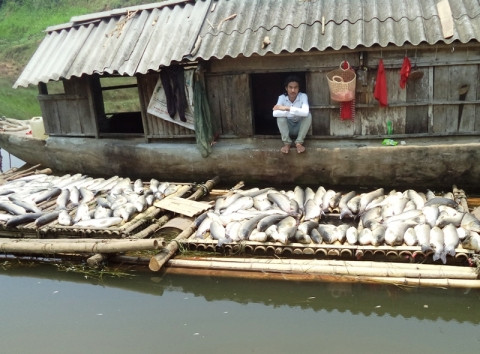 9. Bộ Tài nguyên và Môi trường vào cuộc vụ cá chết hàng loạt trên sông Bưởi Liên quan đến vụ cá chết trắng trên sông Bưởi (Thanh Hóa), Bộ TN&amp;MT vừa chỉ đạo Tổng cục Môi trường thành lập Đoàn công tác làm việc với UBND tỉnh Thanh Hóa và các cơ quan, đơn vị liên quan. Đoàn công tác của Bộ TN&amp;MT sẽ có nhiệm vụ hỗ trợ tỉnh Thanh Hóa xác định rõ nguyên nhân gây ô nhiễm, mức độ ô nhiễm và có các giải pháp khắc phục tình trạng ô nhiễm môi trường nước sông Bưởi. Đồng thời có biện pháp xử lý vi phạm đối với Công ty cổ phần Mía đường Hòa Bình để làm cơ sở yêu cầu công ty đền bù thiệt hại về kinh tế cho nhân dân.