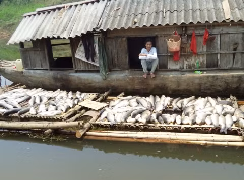 9. Bộ Tài nguyên và Môi trường vào cuộc vụ cá chết hàng loạt trên sông Bưởi Liên quan đến vụ cá chết trắng trên sông Bưởi (Thanh Hóa), Bộ TN&amp;MT vừa chỉ đạo Tổng cục Môi trường thành lập Đoàn công tác làm việc với UBND tỉnh Thanh Hóa và các cơ quan, đơn vị liên quan. Đoàn công tác của Bộ TN&amp;MT sẽ có nhiệm vụ hỗ trợ tỉnh Thanh Hóa xác định rõ nguyên nhân gây ô nhiễm, mức độ ô nhiễm và có các giải pháp khắc phục tình trạng ô nhiễm môi trường nước sông Bưởi. Đồng thời có biện pháp xử lý vi phạm đối với Công ty cổ phần Mía đường Hòa Bình để làm cơ sở yêu cầu công ty đền bù thiệt hại về kinh tế cho nhân dân.