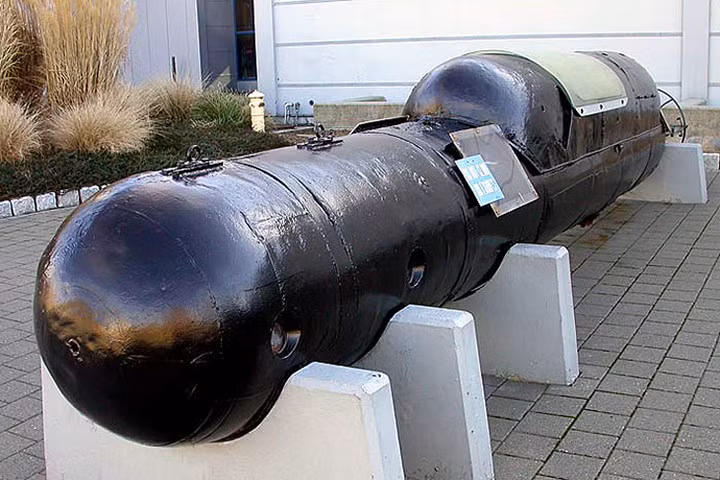 Maiale là cảm hứng để người Anh chế tạo ra loạt tàu ngầm mini Chariot. Ảnh: Bill Maloney.