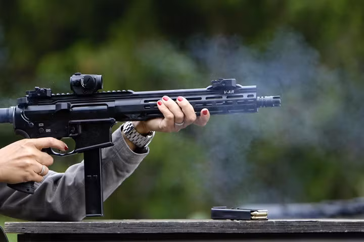 Sau các vụ khủng bố bằng súng AK ở Paris vào đầu và cuối năm 2015, Pháp đã đẩy mạnh các nỗ lực tăng cường kiểm soát súng đạn trong EU.