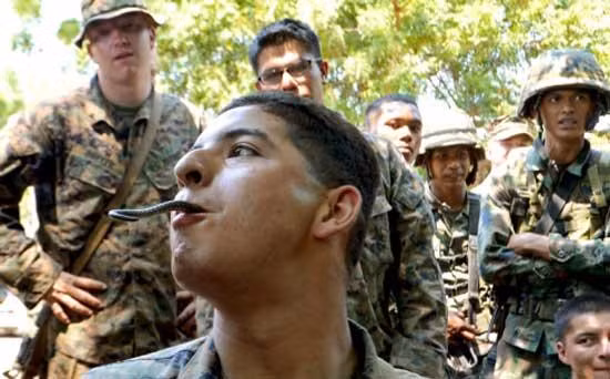 Một phần không thể thiếu đã làm nên tên tuổi của cuộc tập trận chung Hổ Mang Vàng đó chính là những bài tập sinh tồn trong rừng rậm bằng cách ăn sống động vật. Nguồn ảnh: CCTVnews.