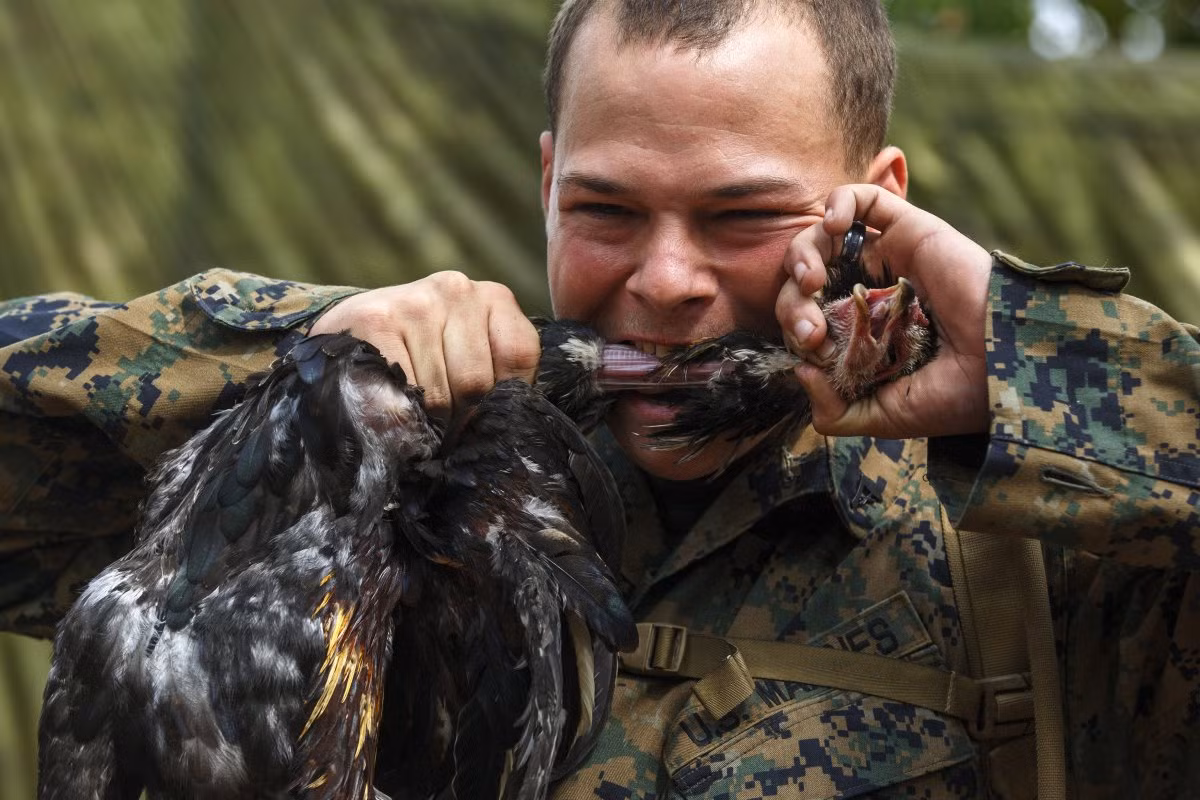Trong nhiều trường hợp bị lạc đơn vị hay bị bao vây, người lính buộc phải sử dụng những kỹ năng "kinh dị" nhất này để có thể sống sót trở về. Nguồn ảnh: BI.