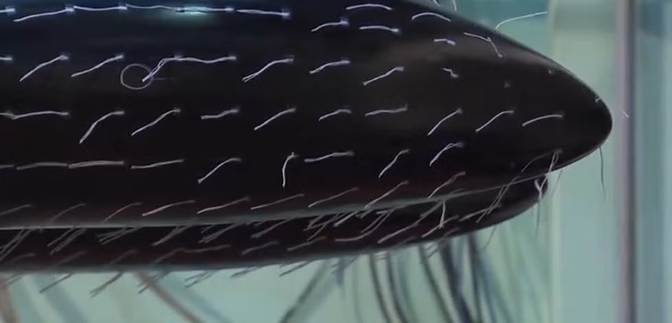 Thông thường, trong quá trình thiết kế máy bay các kỹ sư đã tính toán rất chi tiết và sử dụng thiết bị mô phỏng bằng phần mềm trên máy tính để kiểm tra độ chính xác và tính khí động học của thiết kế mới, khâu kiểm tra trong hầm gió được coi là khâu cuối cùng trong quá trình thiết kế máy bay. Nguồn ảnh: QQ.