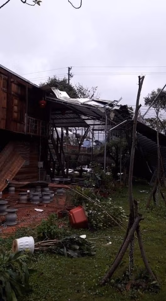 Gió đông bắc trong đất liền cấp 3, vùng ven biển cấp 3-4; ở vịnh Bắc Bộ và Bắc Biển Đông (bao gồm cả vùng biển quần đảo Hoàng Sa) gió đông bắc mạnh cấp 6-7, giật cấp 8, biển động mạnh. Vùng biển từ Quảng Trị đến Bình Thuận và vùng biển phía Tây của Nam Biển Đông (bao gồm cả vùng biển phía Tây quần đảo Trường Sa) gió đông bắc mạnh cấp 6, giật cấp 7, biển động.