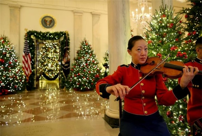 Một thành viên ban nhạc Own Marine của Tổng thống Mỹ đang chơi nhạc.