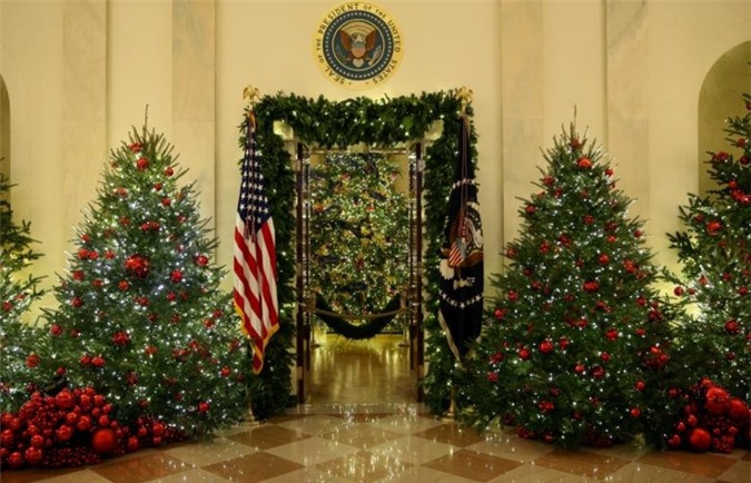 Cây thông Noel nhìn từ sảnh lớn.