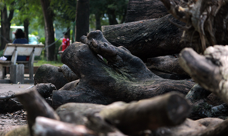 Người dân đang mong mỏi phía cơ quan chức năng liên quan, có thẩm quyền nhanh chóng xử lý vấn đề này để trả lại diện tích, vệ sinh và an toàn cho công viên Tuổi trẻ Thủ đô.