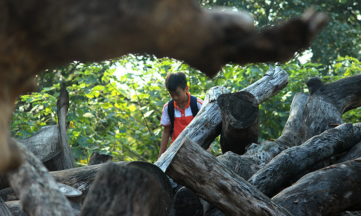 ... nguy hiểm rình rập bất cứ lúc nào...