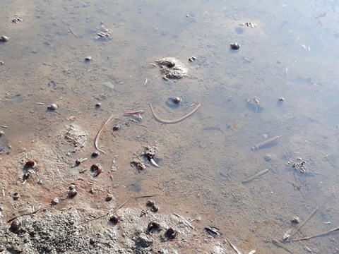 Thanh Hoa: Sau su co tran dau, dan mang xo ra hot ve dung-Hinh-3