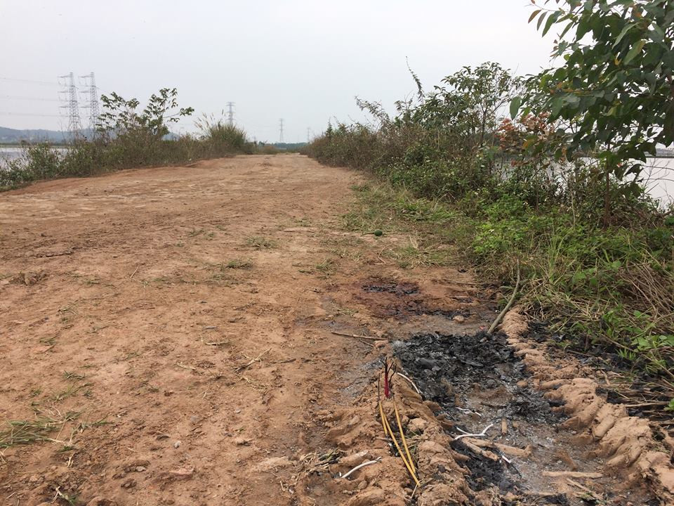 Nguoi phu nu ban ca bi sat hai: Qua nhieu bat thuong!-Hinh-2