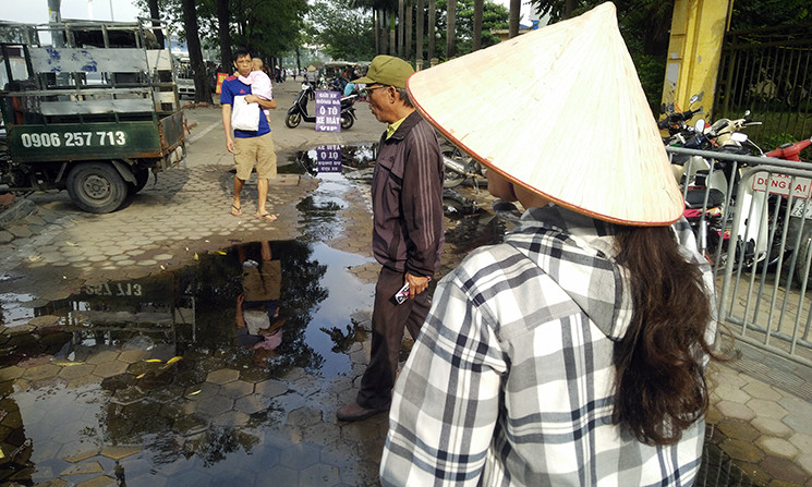 Hễ thấy có người cầm vé là nữ phe vé tiếp cận.