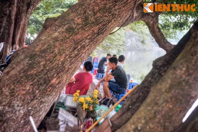 Rất nhiều người Hà Nội đã có kỷ niệm đẹp với cây lộc vừng 9 gốc. Đó có thể là những khoảnh khắc lung linh khi cây trổ hoa rực rỡ, khi lá cây đổi màu vàng rực, cũng có khi chỉ là cái cảm giác thư thái khi ngồi dưới gốc cây uống trà đá ngắm cảnh hồ một buổi chiều chơi vơi.