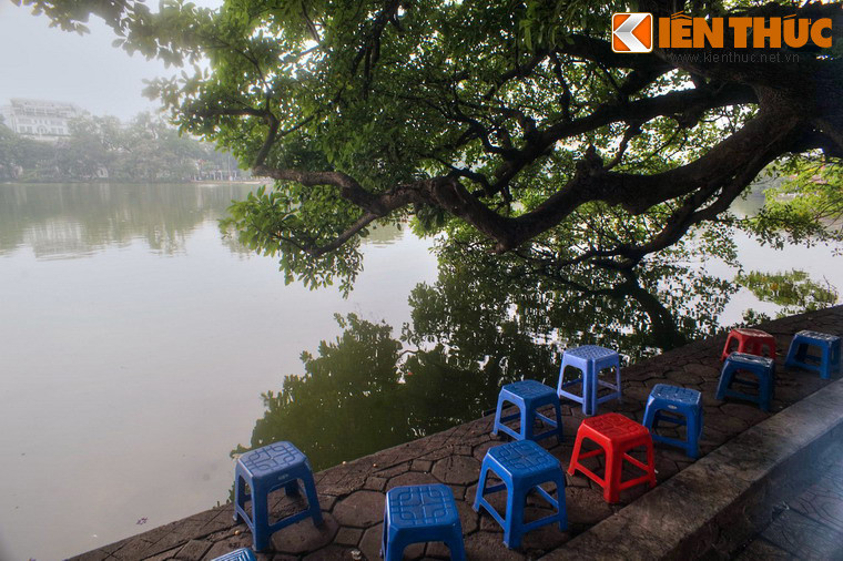 Trong những tháng năm khói lửa, cây đã chứng kiến nhiều cuộc chia ly của những chàng trai Hà thành lên đường kháng chiến.