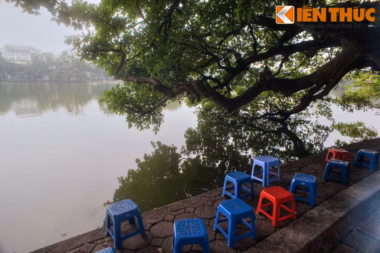 Trong những tháng năm khói lửa, cây đã chứng kiến nhiều cuộc chia ly của những chàng trai Hà thành lên đường kháng chiến.