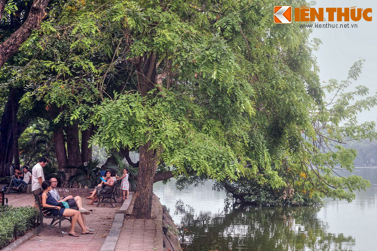 Dưới khung cảnh thơ mộng của những tán cây trùm lên mặt nước, nhiều câu tỏ tình đã được cất lên từ những trái tim rạo rực nhiệt huyết của tuổi trẻ.