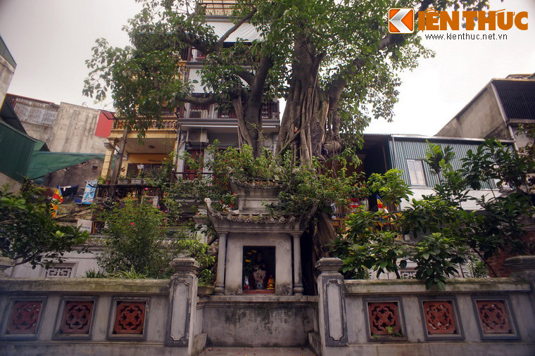 Tiếc rằng vào thời Pháp đô hộ, chính quyền thuộc địa đã cho lấp hồ Tay Ngai để mở mang phố xá, làm mất đi vẻ đẹp thơ mộng của chùa.