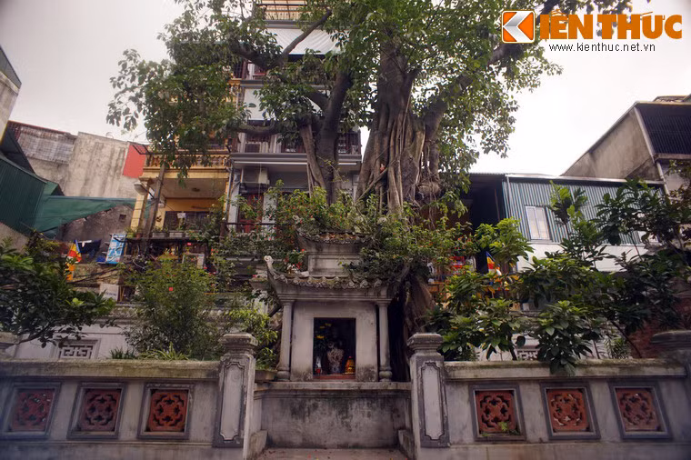 Tiếc rằng vào thời Pháp đô hộ, chính quyền thuộc địa đã cho lấp hồ Tay Ngai để mở mang phố xá, làm mất đi vẻ đẹp thơ mộng của chùa.